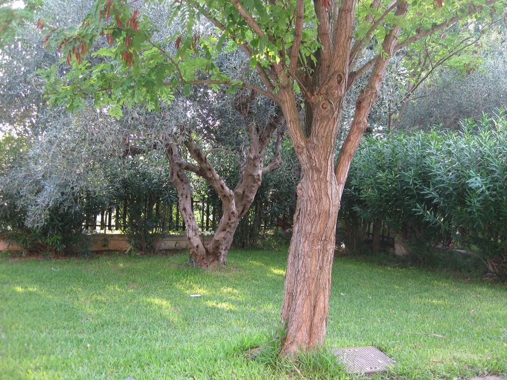 Caputaquis Bed & Breakfast Capaccio Bagian luar foto